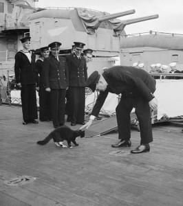 Winston Churchill pats ship's cat Blackie, who is considering leaving the HMS Prince of Wales to join the crew of the American destroyer, USS McDougal [Public domain, wiki/IWM]
