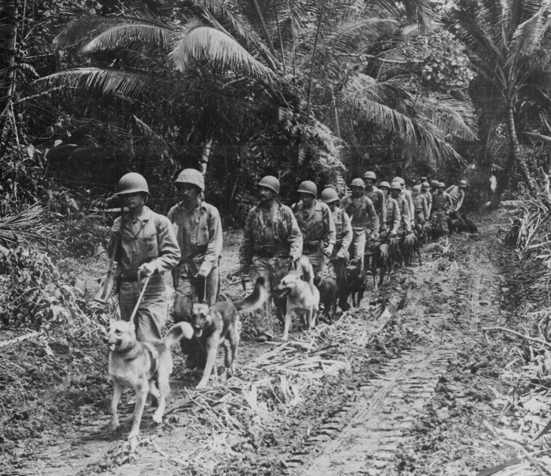 US Marine 'Raiders' and their dogs, 1943 [Public domain]