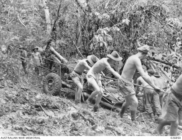 25-pounder gun of the Royal Australian Artillery being pulled through the jungle, Kokoda Trail, Owen Stanley Range, Papua New Guinea, September 1942 [Public domain, Australian War Memorial 026850]